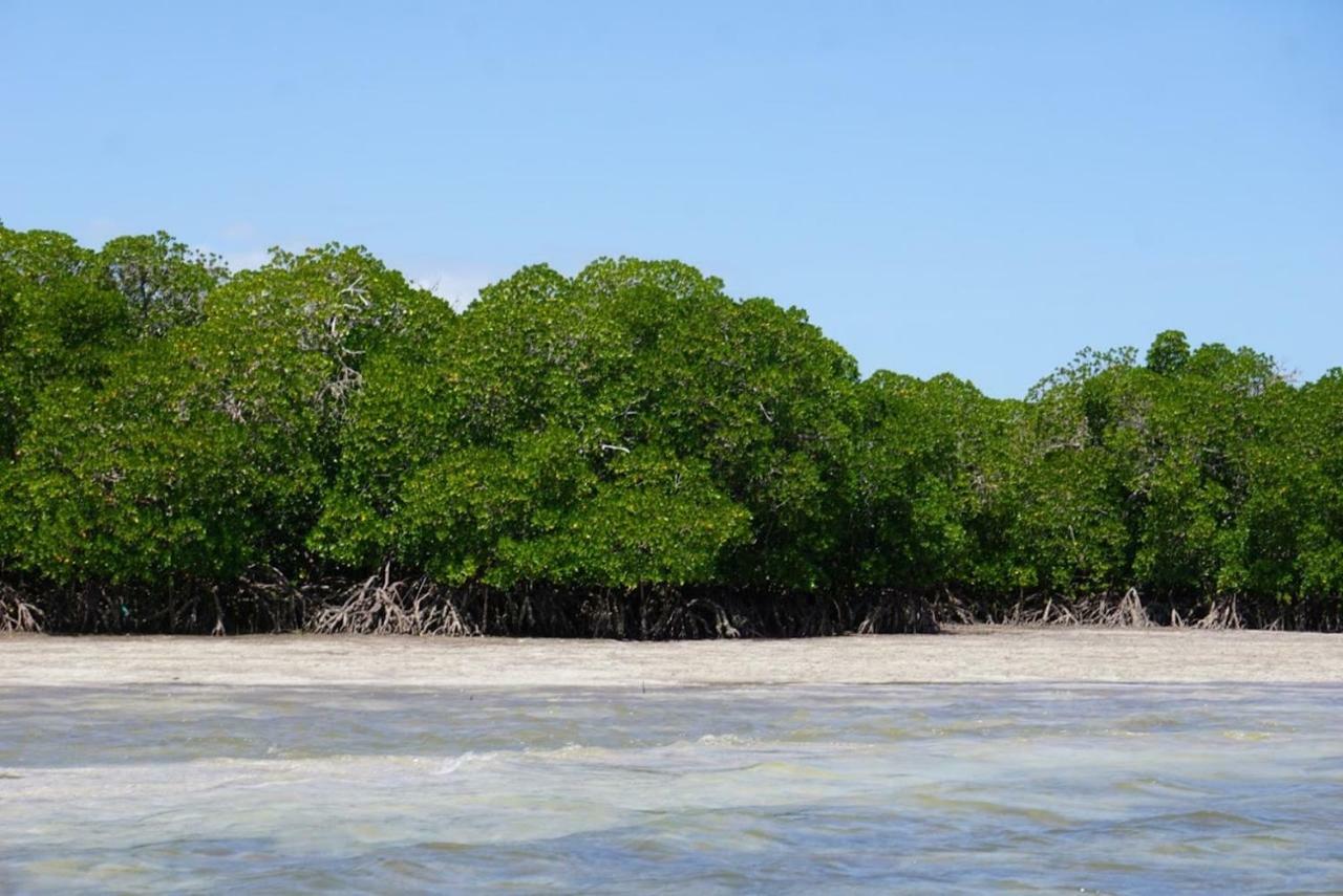 Mida Creek Nature Camp Watamu Eksteriør bilde