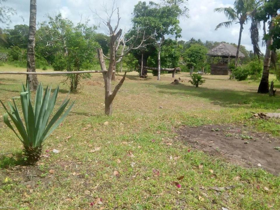 Mida Creek Nature Camp Watamu Eksteriør bilde