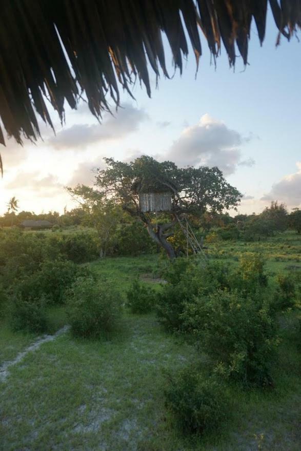 Mida Creek Nature Camp Watamu Eksteriør bilde